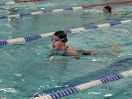 ipf 2015 12 034.JPG