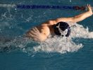 ipf 2016 WK 37.JPG