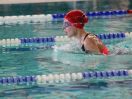 ipf 2015 12 016.JPG