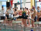 ipf 2015 12 023.JPG