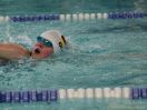 ipf 2015 12 039.JPG