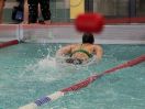 ipf 2015 12 040.JPG