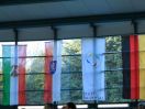 img 8429.jpg