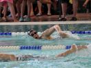 ipf 2015 12 006.JPG