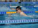 ipf_2016_Dillenburg_04.JPG