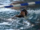 ipf 2017 Maischwimmen 02.JPG